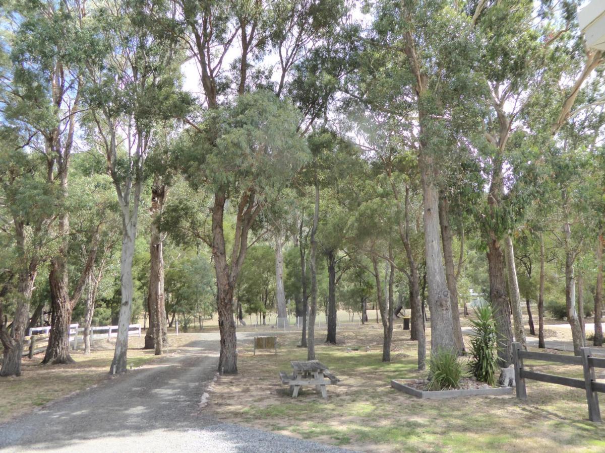 Dacelo Villa Halls Gap Exterior foto